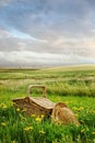 Picnic basket and hat in the tall grass Royalty Free Stock Photo