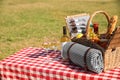 Picnic basket ith wine, snacks and mat on table in park. Space for text