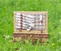 Picnic basket in meadow Royalty Free Stock Photo