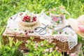 Picnic basket  in meadow with clovers,  lifestyle of summer concept Royalty Free Stock Photo