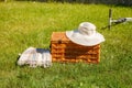 Picnic basket on meadow. Outdoor summer picnic on the green grass at the sunny day. Party time Royalty Free Stock Photo