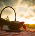 Picnic basket in the meadow Royalty Free Stock Photo