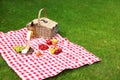 Picnic basket with products and bottle of  on checkered blanket in garden Royalty Free Stock Photo