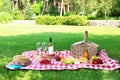 Picnic basket with and bottle of wine on checkered blanket in garden Royalty Free Stock Photo