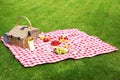 Picnic basket with products  bottle of wine on checkered blanket in garden Royalty Free Stock Photo