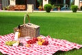 Picnic basket with products and bottle of wine on checkered blanket Royalty Free Stock Photo