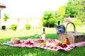 Picnic basket with products and bottle of wine on checkered blanket Royalty Free Stock Photo