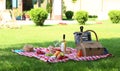 Picnic basket with  and bottle of wine on checkered blanket in garden. Space for text Royalty Free Stock Photo