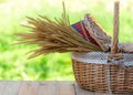 Picnic basket with Red napkin and flower on table place, green nature background