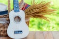 Picnic basket with Red napkin, flower and ukulele , hat women on table place, green nature background