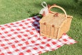 Picnic basket with a red and white tablecloth on the green lawn Royalty Free Stock Photo