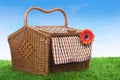 Picnic basket shot outdoor over green grass Royalty Free Stock Photo