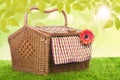 Picnic basket shot outdoor over green grass Royalty Free Stock Photo