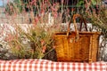 Picnic basket on the wall with red flowers