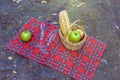 Picnic basket with wine glass and fruits on checkered cloth on rocks. Romantic still life of autumn or summer outing, lunch at Royalty Free Stock Photo