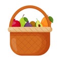 Picnic baskets. Wicker backet with fresh fruits. Pomegranate, pear, fig, kiwi, avocado, mango. Flat vector illustration