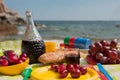 Picnic at the beach Royalty Free Stock Photo