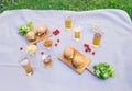 Picnic with beer mugs and glasses, homemade burgers and beer snacks