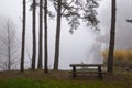Picnic Bench And Table In A Misty Autumn Park