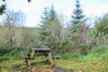 Picnic bench table pine forest autumn Royalty Free Stock Photo