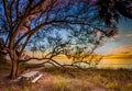 Picnic bench under tree on Manasota Key