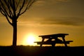 Picnic Bench Under Tree Silhouetted at Sunset Royalty Free Stock Photo