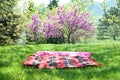 Picnic blanket Royalty Free Stock Photo