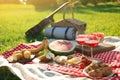 Picnic blanket with delicious food and drinks outdoors on day Royalty Free Stock Photo