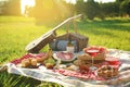 Picnic blanket with delicious food and drinks outdoors on sunny day Royalty Free Stock Photo