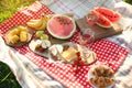 Picnic blanket with delicious food and drinks outdoors on sunny day Royalty Free Stock Photo