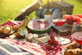 Picnic blanket with delicious food and drinks outdoors on sunny day Royalty Free Stock Photo