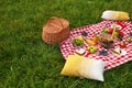 Picnic blanket with delicious snacks on in park