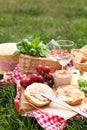 Picnic blanket with wineglasses and food on green grass