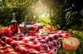 Picnic - breakfast in morning sunny nature