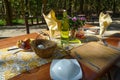 Picnic and breakfest in the open air Royalty Free Stock Photo