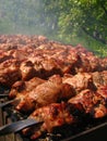 Picnic BURGERS ON THE GRILL Royalty Free Stock Photo