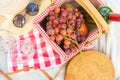 Picnic, camping in the gardens, romance and relaxation. Wine was shipped with a picnic basket. Summer and mood. Weekend and Royalty Free Stock Photo