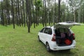 picnic with car in pine forest at northern of Thailand, Copy space Royalty Free Stock Photo