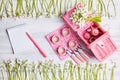 Picnic card with table setting and snowdrops, silverware, pink white checked napkin