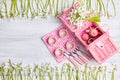 Picnic card with table setting and snowdrops, silverware, pink white checked napkin