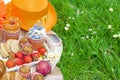 Picnic in the celebration of the king`s day. Lunch in the garden. Fruits and pastries. Orange hat. Spring in the Netherlands.