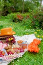 Picnic in the celebration of the king`s day. Lunch in the garden, a meadow with flowers. Basket for a picnic, Fruits and pastries.