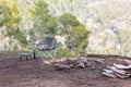 Picnic chair in forest