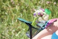 A picnic chair stands on a light-flooded meadow. In the stand is a plastic bottle of water and a bouquet of camomile flowers. Royalty Free Stock Photo