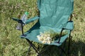 A picnic chair stands on a light-flooded meadow. In the stand is a plastic bottle of water and a bouquet of camomile flowers.