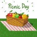 Picnic classic basket on grass with apples.banner usefall in social networks design with copy space Vector illustration Royalty Free Stock Photo