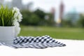 Picnic cloth black - blue square pattern on the white cloth in the park and outside field for pack or package shot Royalty Free Stock Photo