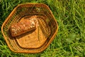 Picnic concept, basket with loaf of bread