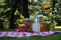 Picnic Cupcakes Flower Royalty Free Stock Photo