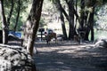 Picnic Deer Royalty Free Stock Photo